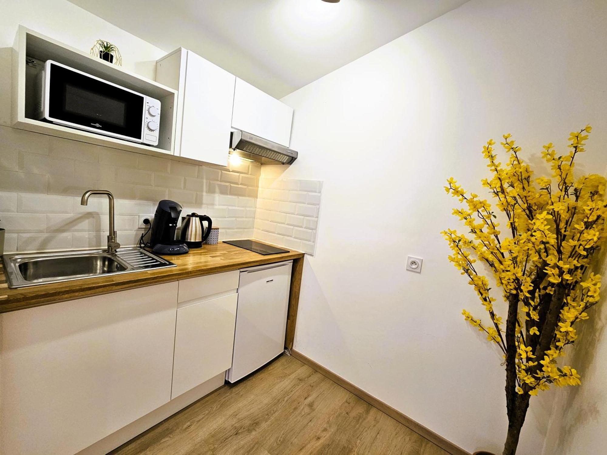 Tout Confort ! Centre-Ville, Climatisation, Parking, Wifi, Calme, Tv Carcassonne Exterior foto
